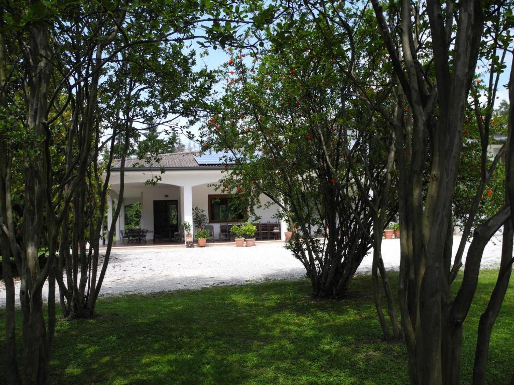 B&B Villa Miani Silea Extérieur photo